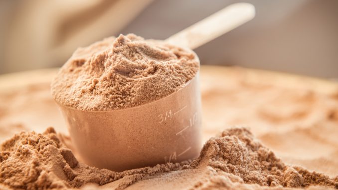 casein protein for muscle growth