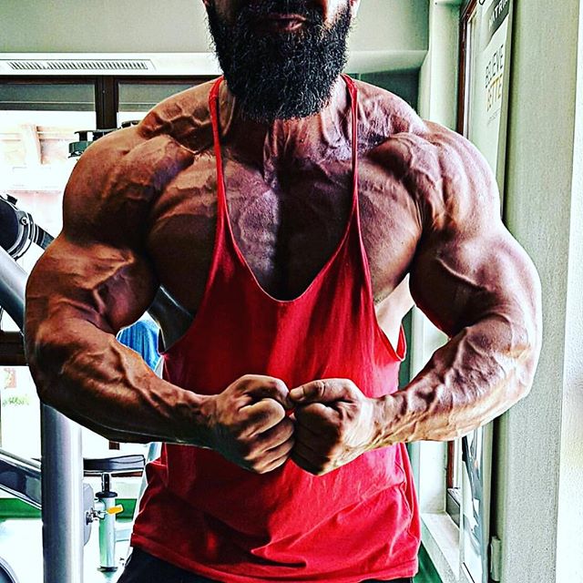 bodybuilding.gold instagram