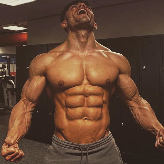 bodybuilding.gold instagram