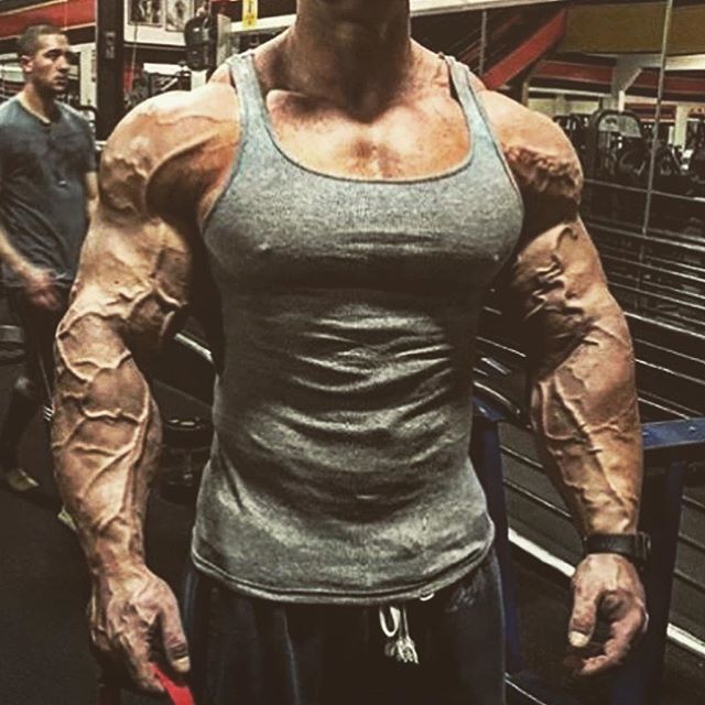 bodybuilding.gold instagram